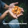 Dried Chanterelle Mushrooms, Premium Grade (2oz) view 4
