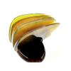 ARTIBETTER 4Pcs Buffalo Horn Massage Boards Gua Sha Scraping Tools for Wellness Relaxation 3.74X2.12 Inch Back and Body Massagers view 2