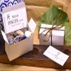 Pisces Sun Gemstone Set - 9 Stones for Intuition, Grounding, and Emotional Balance | Healing Crystals Kit view 4