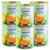Ashoka Premium Mango Puree, Sweetened Kesar Mango Pulp, Great for Smoothies, Juices, Baking, and Eating as Whole, Rich Mango Concentrate from India, Kosher Certified, 30 Ounce (Pack of 6) view 1