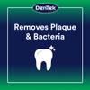 DenTek Advanced Clean Floss Picks with No Break & No Shred Dental Floss, Plaque Remover, 150 Count, Pack of 3 view 3
