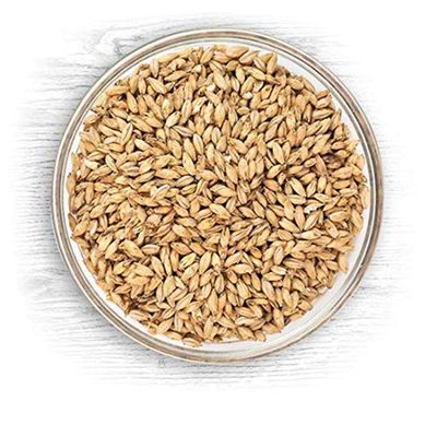 North Mountain Supply - B-2R-BM-18 American Base Malt - 18 Pounds (2-Row Brewers Malt) American 2-Row Brewers