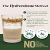Elmhurst 1925 Unsweetened Oat Milk - 32 Ounce (Pack of 6) Dairy-Free, Gluten-Free, Vegan, Kosher, Shelf Stable Milk Made with Water & Oat Grains for Healthier, Simpler Plant-Based Alternatives view 4