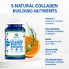 BioTrust Ageless Collagen Booster, Powerfully Support Beauty from Within, Vegan Collagen Builder for Glowing Skin, Gorgeous Hair, Beautiful Nails, Healthy Joints, 60 Capsules (30 Servings) view 4