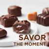 Russell Stover, Milk Chocolate Assortment, Chocolate Gift Box, 9.4 Ounce view 3