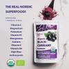 LOOV Blackcurrant Powder Organic, Made from 100% Whole Blackcurrants, Freeze Dried and Powdered Organic Blackcurrants, 6 Ounces, 23-Day Supply, Grown in Northern Europe, no Added Sugar view 3