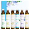 HERBROMAS Aromatherapy Essential Oils Roll On Set, Natural Pre-diluted Blend Oils for Skin Use, Relaxation Gift for Women & Men, Pack 6 x10ml view 2