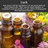 Luck Oil Set by Art of The Root | Includes Crown of Success, Fast Luck & Shi Shi Oils | Handmade with Herbs & Essential Oils | Wiccan, Hoodoo & Pagan | Manifestation, Goals & Luck Rituals view 3