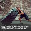 NutraBio Classic Whey Protein Powder- 25G Protein Per Scoop -No Fillers, Artificial Colors, Preservatives - Low Glycemic Index - (Chocolate Peanut Butter, 5 Pounds) view 3