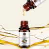 3 Pack Coconut Essential Oil Pure Undiluted Coconut Oil 3x10 ML view 3