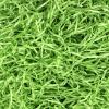 Asekonc 1/2 LB Easter Green Grass Green Raffia Grass Super Large Pack Recyclable Paper Shred for Easter Basket Filler Creative Eggs Decor Filler Gift Wrapping view 1