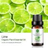 2-Pack Lime Essential Oil, 100% Pure Organic Natural Aroma Lime Oil for Diffuser, Massage, Yoga, Meditation, Skin Care - 2x10 mL view 2