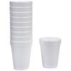 To Go Insulated Foam Beverage Cups Disposable - 16 oz, 100 Count. Great for Coffee, Tea, Hot Chocolate or Any Hot/Cold Beverages. Best for the Money view 2