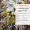 VITAMINSEA Bladderwrack Dried Seaweed | Wild North Atlantic Seaweed for Snacking, Seasoning, Soups & Salads | Rich in Vitamins, Minerals & Antioxidants Perfect for Thyroid Support | Powder (8 oz) view 3