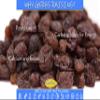 Gerbs Dried Raisins 4 lbs. | Unsulfured, No Artificial Additives, Resealable Bag | Naturally Sweet & Plump | Top 14 Allergen-Free view 2
