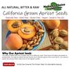 Apricot Seeds California Grown Bitter Raw 100% All Natural From Organic Farms 8 OZ view 3