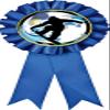 Crown Awards Snowboarding Blue Rosette Ribbon, Snowboard Trophy Ribbon Award Prize, 1 Pack view 1