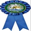 Crown Awards Spelling Blue Rosette Ribbon, Kids Spelling Bee Trophy Ribbon Award Prize, 10 Pack view 1