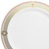 " OCCASIONS " 60 Plates Pack, Disposable Wedding Party Plastic Plates (10.25'' Dinner Plate, Royal in White/Blush & Gold) view 2