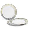 " OCCASIONS " 60 Plates Pack, Disposable Wedding Party Plastic Plates (10.25'' Dinner Plate, Royal in White/Blue & Gold) view 1