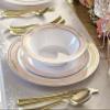 " OCCASIONS " 60 Plates Pack, Disposable Wedding Party Plastic Plates (10.25'' Dinner Plate, Scalloped in White/Blush & Gold) view 2