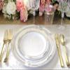 " OCCASIONS " 60 Plates Pack, Disposable Wedding Party Plastic Plates (10.25'' Dinner Plate, Scalloped in White/Blue & Gold) view 4