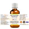 Greenwood Essential Fennel Seed Essential Oil (Foeniculum vulgare) Pure | Non-Sticky | Non-Greasy | Lightweight | Men & Women | All Skin Types | Steam Distilled 50ml (1.69 oz) view 2