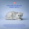 L-Lysine Supplement for Cats 900mg/scoop - Cat Supplement for Sneezing and Runny Nose, Cold, Immune Support, Eye Function, and Respiratory Health  Lysine Powder view 4