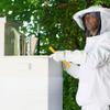VIVO Professional White XXL Beekeeping Suit, Jacket, Pull Over, Smock with Veil BEE-V105XL2 view 3