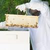 VIVO Professional White XXL Beekeeping Suit, Jacket, Pull Over, Smock with Veil BEE-V105XL2 view 4