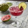Liquid Alchemist Prickly Pear Syrup for Cocktails - Real Ingredients Make our Mixer Perfect for a Summer Cocktail and Margarita Mix - Vegan & Non-GMO (25.4 oz) view 3