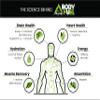 Alpine Innovations Body Fuel Focus + Energy - Great Tasting Supplement Made to Enhance Focus and Provide Energy Without The jitters. (30 Scoop Tub, Watermelon) view 4