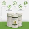 Avocado Leaf Tea Natural Leaf - 2 Pack - Caffeine-free, Healthy Herbal Tea | Immune Support | Cold Brew or Hot Tea-30 Tea Bags | 60 Servings (Gluten Free & Non-GMO) view 2