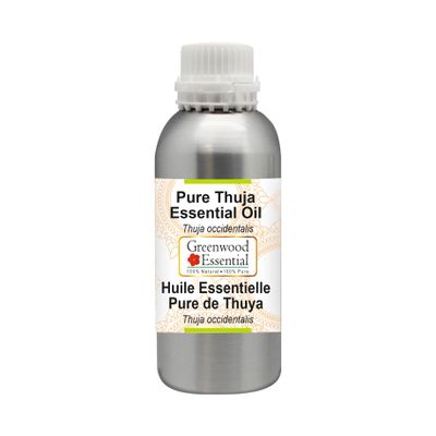Greenwood Essential Thuja Essential Oil (Thuja occidentalis) Steam Distilled 300ml (10.1 oz)