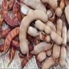 Fresh Sour Tamarind 16oz | Tamarindo Azedo 454g | Tamarindo Agrio (Pack of 04) view 3