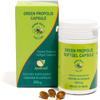ApisBrasil Brazilian Green Bee Propolis 900mg Natural Immune Support - 90 Softgels view 1