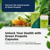 ApisBrasil Brazilian Green Bee Propolis 900mg Natural Immune Support - 90 Softgels view 2