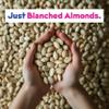 Almond Milk Unsweetened Plain Concentrate by JOI - 2-Pack x 27 Servings - Vegan, Kosher, Shelf Stable, Keto-Friendly, Dairy Free, & Fat Free Milk - Almond Milk Powder Substitute, Coffee & Plant Milk Creamer view 4