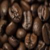 Poverty Bay Coffee Co. Great Bend Blend - Medium Dark Roast - 5lb Bag of Bulk Whole Bean Coffee view 2