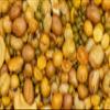 Grand Sweets and Snacks Bombay Mixture (Pack of 2) Each Pkt 250g (B-P) view 3