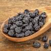 Dried Organic Wild Bilberries - Northwest Wild Foods - Healthy Antioxidants Fruit - for Granola, Morning Snack, Baking, Trail Mix (8 Ounces) view 2