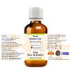 Greenwood Essential Brahmi Oil (Bacopa monnieri) | Infused | Pure | Non-Sticky | Lightweight | For Hair Care Routines | Men & Women | Traditional Use | Natural | 50ml (1.69 oz) view 2