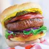 Dr. Praegers Sensible Foods Vegan Perfect Burger, 6 Ounce, 10 Pound -- 1 each. view 1