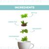 Nutty Yogi Anti Allergy Tea Herbal Green Tea With Spearmint, Peppermint And Nettle Leaves Makes 30 Cups Per Pack Mint Aroma And Benefits Of Nettle(50 G (Pack Of 1)) view 3