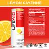 FITAID Post Workout Recovery Drink, Strawberry Lemonade, BCAAs, Glucosamine, Electrolytes, All In One Can, Paleo, Vegan & Gluten-Free, 40 Calories, 12 Fl Oz (Pack of 24) view 3