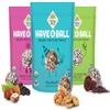 100% RAW Fruit & Nut Balls Variety 3-Pack - Have A Ball (3 x 9 Balls) - Whole Food Energy Snacks | NO Added Sugars or Preservatives | NON-GMO, VEGAN, GF & Kosher view 1