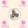 100% RAW Fruit & Nut Balls Variety 3-Pack - Have A Ball (3 x 9 Balls) - Whole Food Energy Snacks | NO Added Sugars or Preservatives | NON-GMO, VEGAN, GF & Kosher view 3