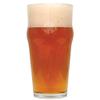 Northern Brewer - Irish Red Ale Extract Beer Recipe Kit Makes 5 Gallons view 1