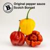Bertie's Original Pepper Sauce (26 Oz/750ml) | Great Flavour And Heat | Made With Fresh Trinidad Moruga Red And Scotch Bonnet Yellow Peppers | Tastes Like Home Made view 4