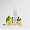 Andree Jardin Dish Washing Liquid - Sage & Basil, 500 ml view 2